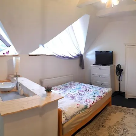 Affittacamere Vica Apartman *